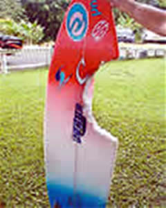 Bethany Hamilton Shark Killed