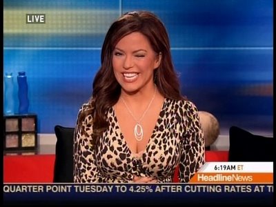 Cnn Robin Meade Husband