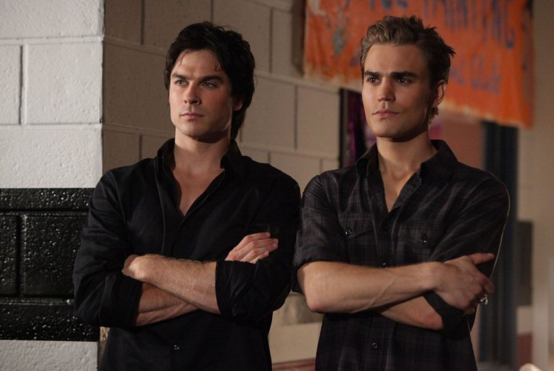 Damon And Stefan Salvatore Vampire Diaries