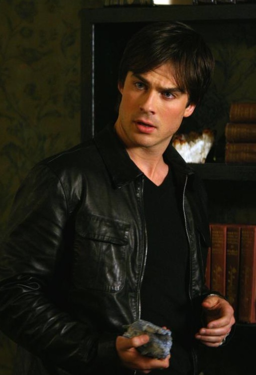 Damon And Stefan Salvatore Vampire Diaries