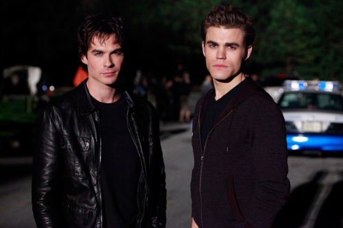 Damon And Stefan Salvatore Vampire Diaries