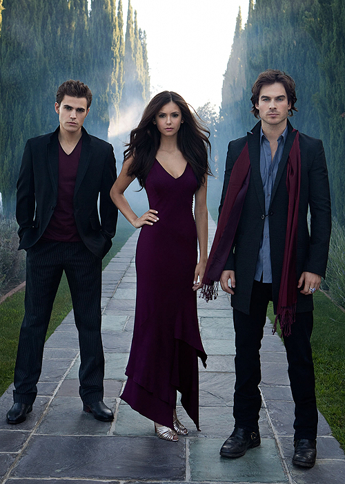 Damon And Stefan Salvatore Vampire Diaries