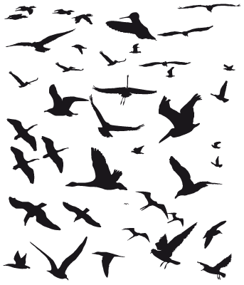 Flying Bird Silhouette Tattoo