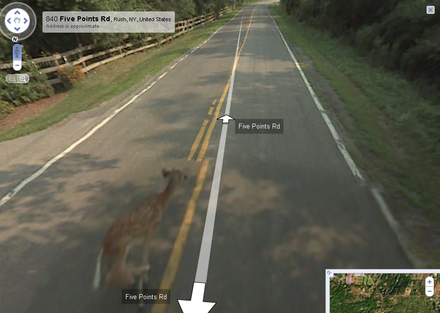 Google Maps Car Driver