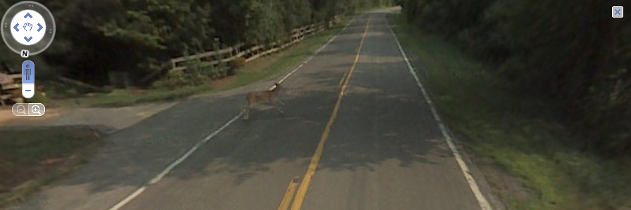 Google Maps Car Funny Photos