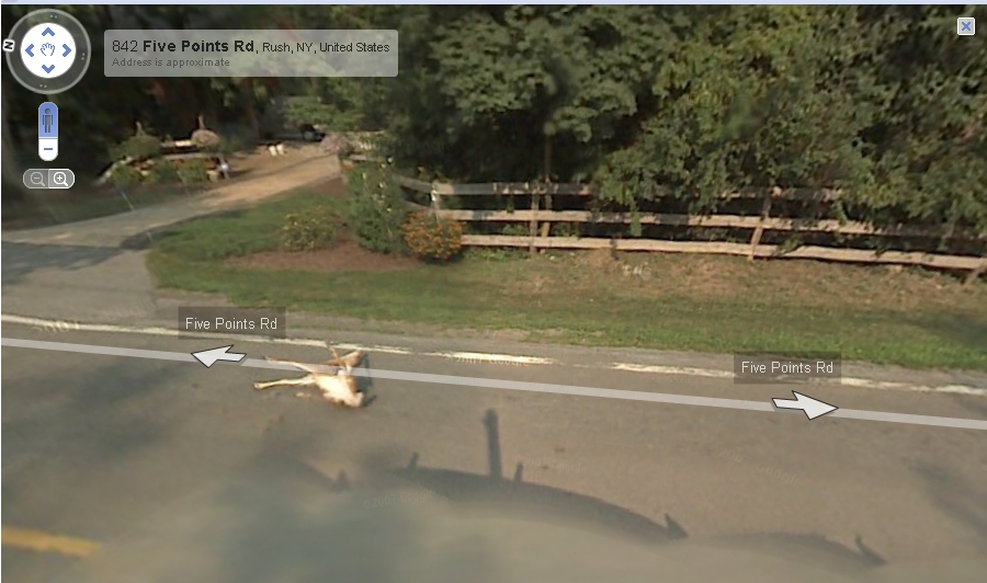 Google Maps Car Funny Photos