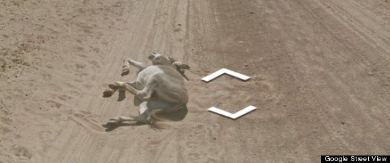 Google Maps Funny Things To Look Up