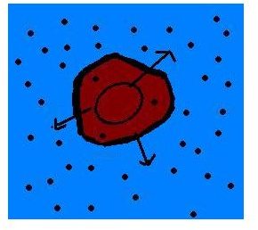 Hypertonic Solution Definition For Kids