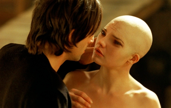 Olivier Martinez Unfaithful Love Scene