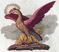 Phoenix Bird Of Fire