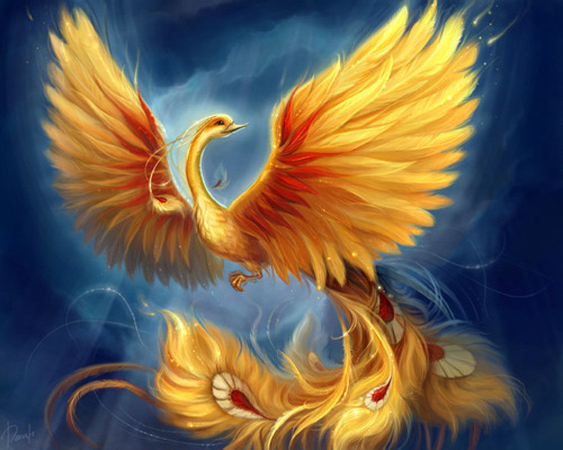 Phoenix Bird Of Fire