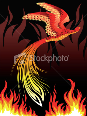 Phoenix Bird Of Fire