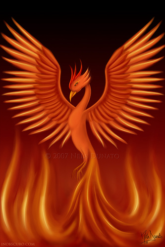 Phoenix Bird Of Fire