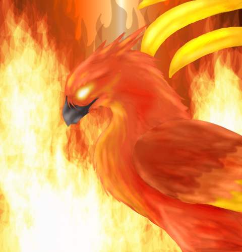 Phoenix Bird Of Fire