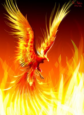 Phoenix Bird Of Fire Meaning