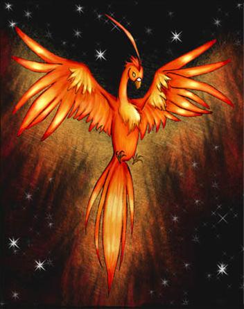 Phoenix Bird Of Fire Meaning