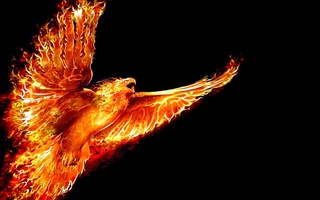 Phoenix Bird Of Fire Meaning