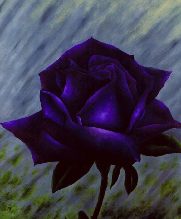 Purple Rose