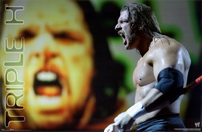 Wwe Hhh 2011