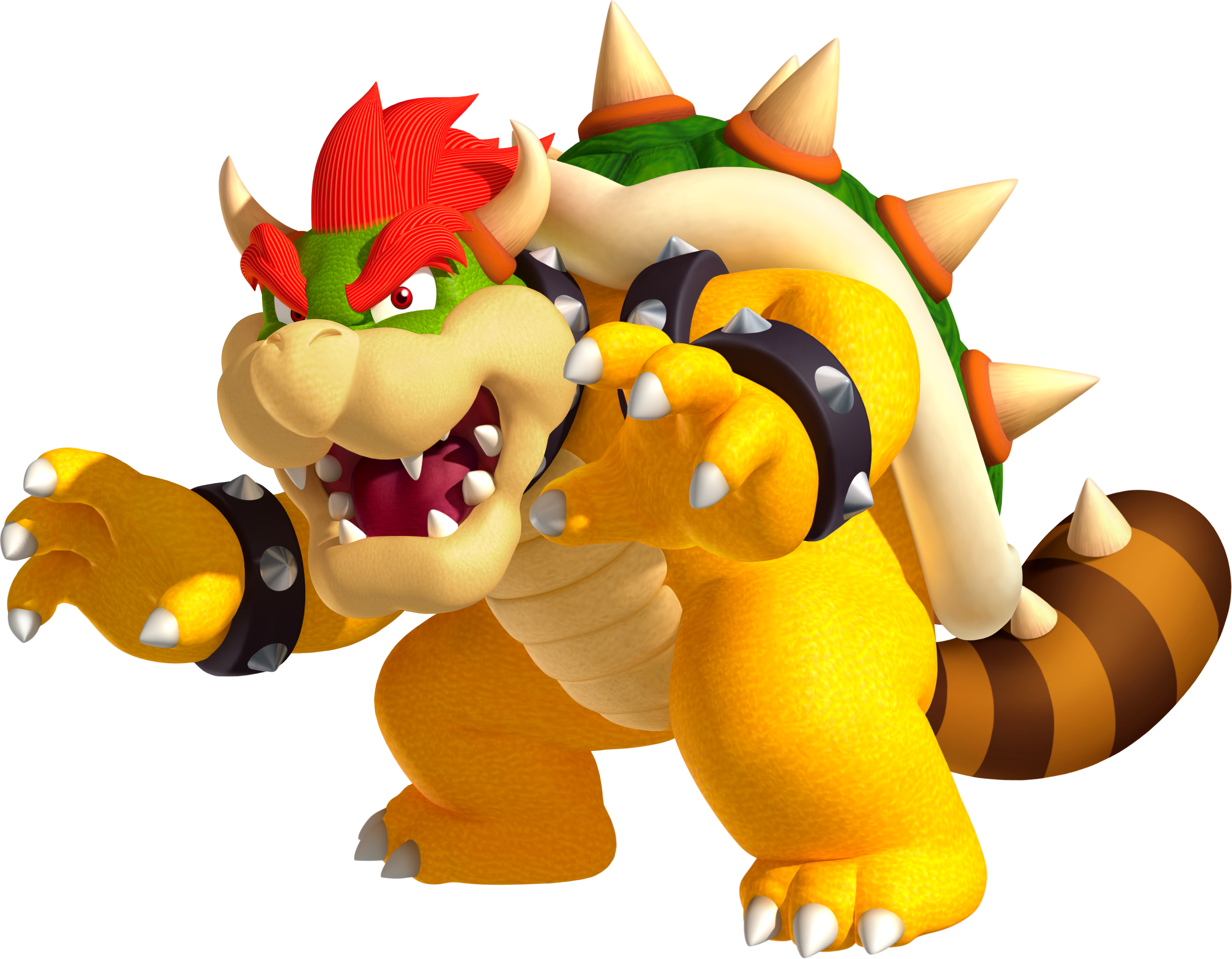 Bowser Mario Kart Wii