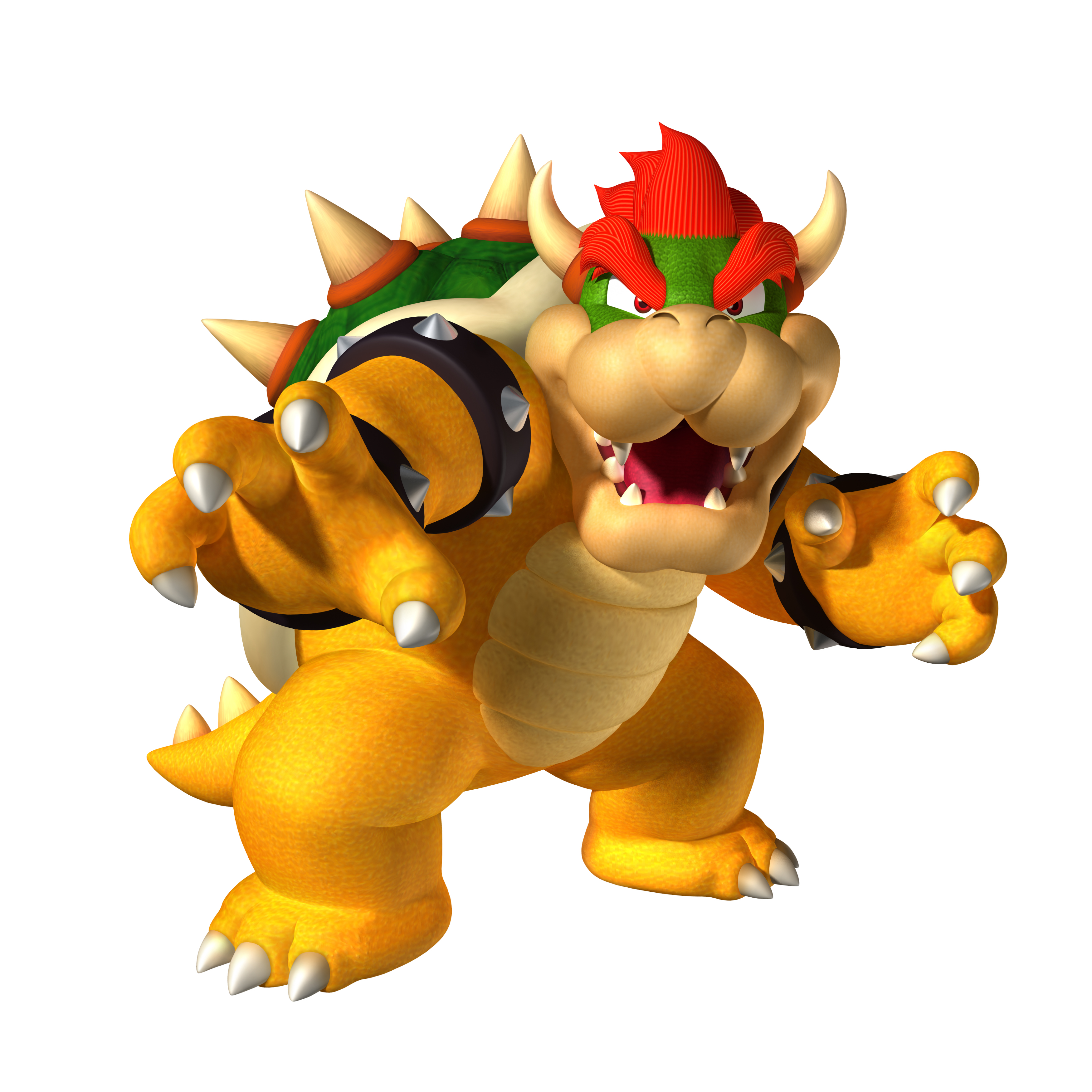 Bowser Mario Kart Wii