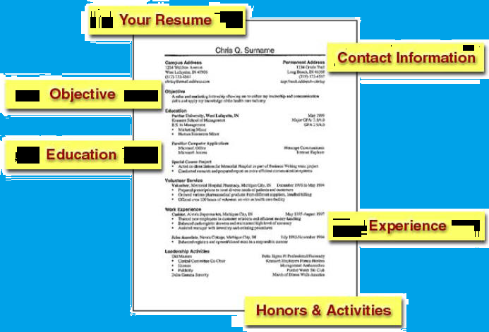 Cv Format For Freshers Download Free
