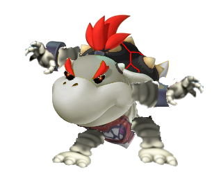 Dry Bowser Mario Kart Wii
