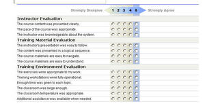 Likert Scale Template Examples