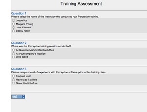 Likert Scale Template Examples