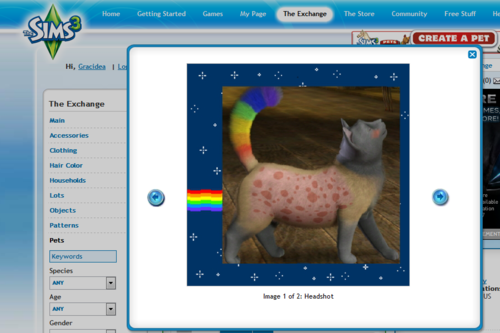 Nyan Cat Unicorn