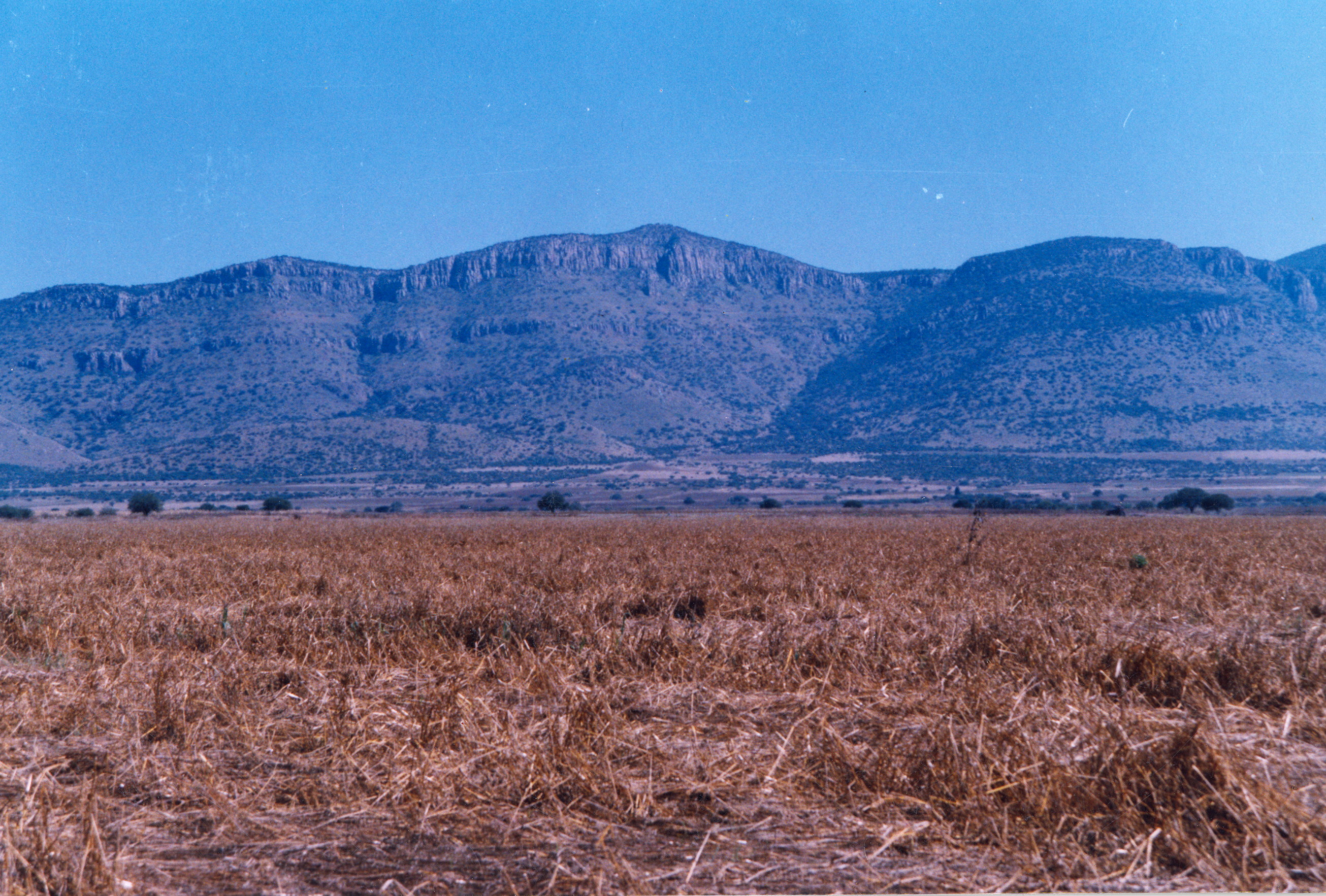 Regiones Agricolas De Mexico