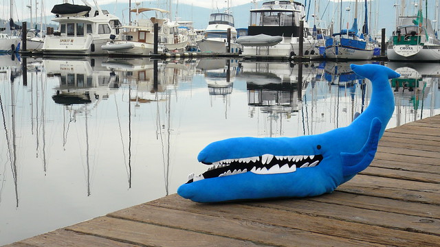 What Are Blue Whales Teeth Made Of