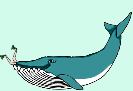 What Are Blue Whales Teeth Made Of